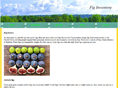 Fig webpage photo