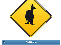 Wildlife vehicle collision management